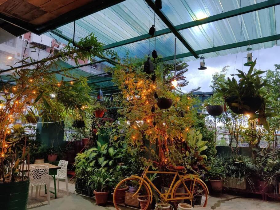 The Nook Rooftop Condo And Garden Guwahati Exterior foto